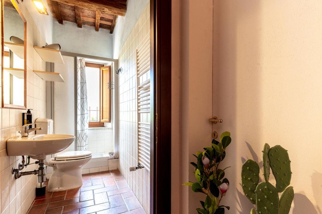 Massa Alta B&B E Appartamenti Масса-Мариттима Экстерьер фото